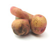 Ambiguous root crop
