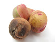 Potato with a scar