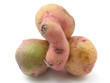 happy potatoes