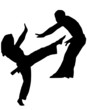 capoeira
