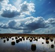 Bog