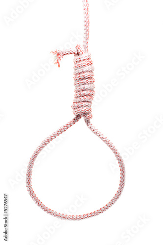 Photo: Noose Noose
