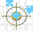 Jigsaw target looking for the vital piece