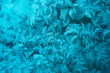 the frozen window the frozen window