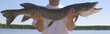 pike