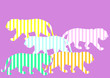 colorful striped tigers walking