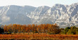 la sainte victoire