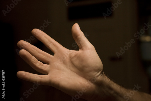 Photo: open hand open hand