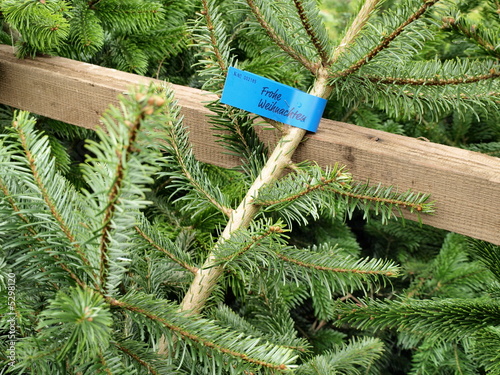 Frohe Weihnachten