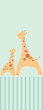 Baby Giraffe