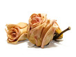 dead roses 08