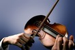 violino