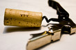 Photo en ligne au meilleur prix cork & corkscrew