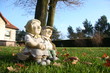 Renternepaar auf einer Wiese