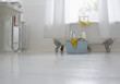 Cleaning supplies in bathroom