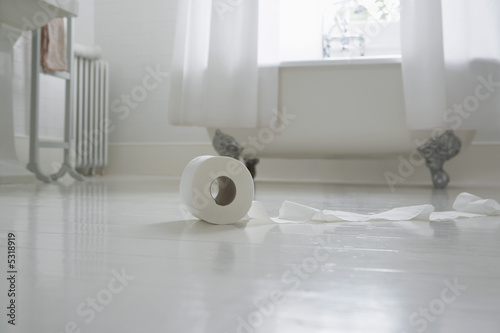Photo: Toilet paper roll on bathroom floor Toilet paper roll on bathroom floor