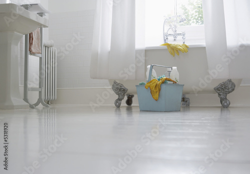 Photo: Cleaning supplies in bathroom Cleaning supplies in bathroom