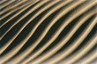 Foto: Grooves in sand Grooves in sand