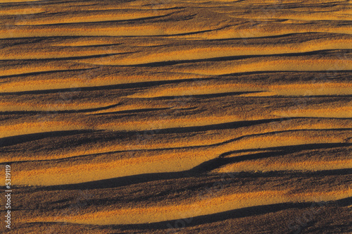 Foto: Ripples in sand Ripples in sand