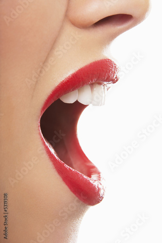 Foto: Open Red Lips Open Red Lips