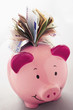 Paper money coming out of piggy bank
