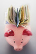 Paper money coming out of piggy bank, view from above