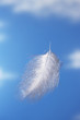 Feather falling with blue sky background