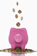 Piggy Bank