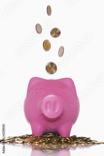Photo: Piggy Bank Piggy Bank