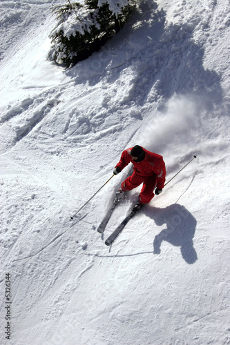 Photo: The Skier The Skier