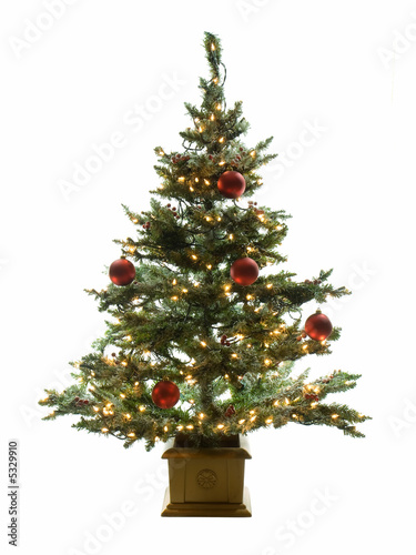 Christmas Tree