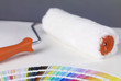 Paint roller