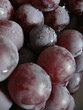 grappe de raisin grappe de raisin