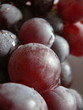 grains de raisins grains de raisins
