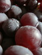 raisins en macro raisins en macro