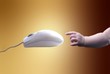 mouse