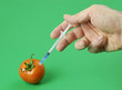 'genetically modified' tomato