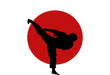 Perfect Kick Perfect Kick