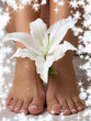 wet feet and madonna lily with snowflakes