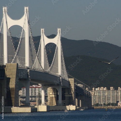 Busan Bridge