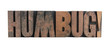 the word 'humbug' in letterpress wood type the word 'humbug' in letterpress wood type