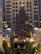 RC Tree and Angels