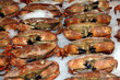 Crab and Shell Fish