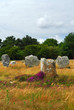 Megalithic monuments in Brittany Megalithic monuments in Brittany
