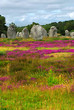 Megalithic monuments in Brittany Megalithic monuments in Brittany