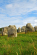 Megalithic monuments in Brittany Megalithic monuments in Brittany