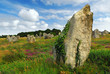 Megalithic monuments in Brittany Megalithic monuments in Brittany