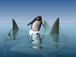 extreme penguin