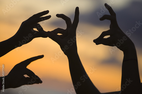 Photo: lapins lapins
