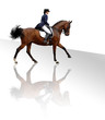 Foto: dressage dressage